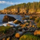 Acadia and Mt. Desert Island